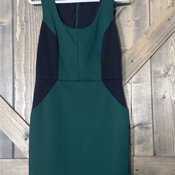 Robbi & Nikki Green & Black Sleeveless Dress. - Picture 5 of 5